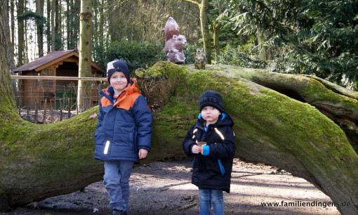 Liam und Jano in Birgit's Tiergarten